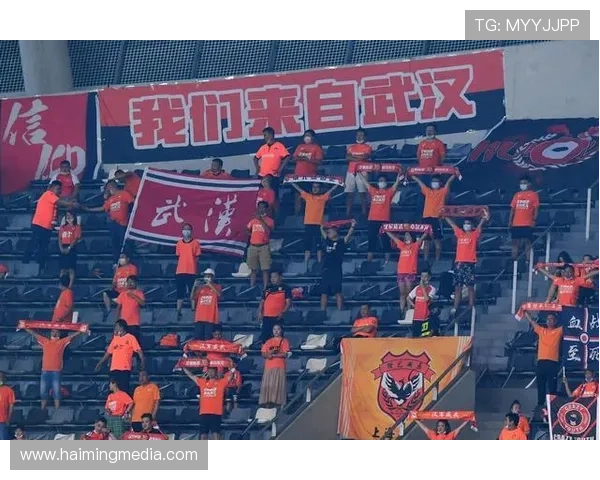 武汉排球队灵活性引发热议球迷与专家观点碰撞激烈