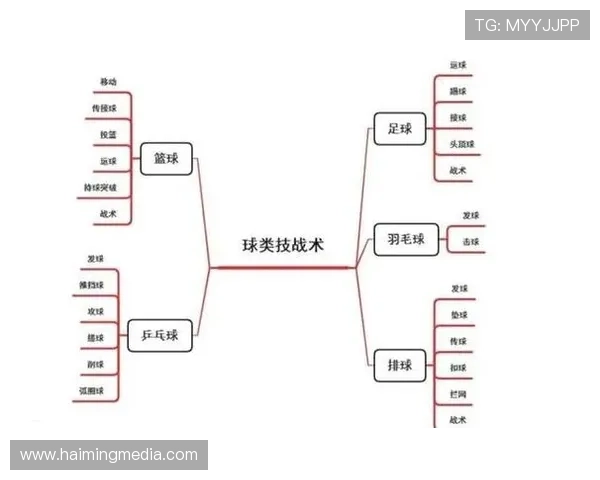 深入分析成都排球队独特的进攻策略与战术特点