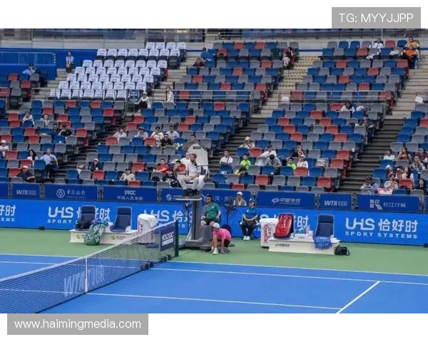 武汉网球队的奋斗与荣耀：一段不平凡的网球纪实之旅