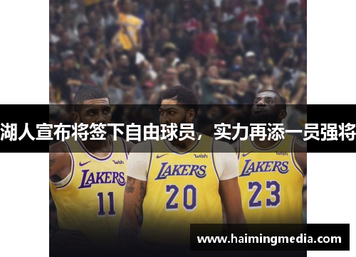 湖人宣布将签下自由球员，实力再添一员强将