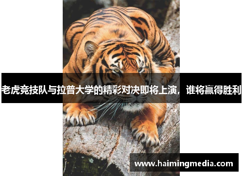 老虎竞技队与拉普大学的精彩对决即将上演，谁将赢得胜利